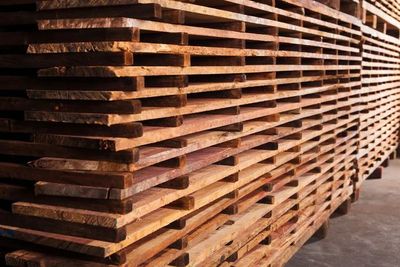 紅木家具為何名貴？古老工藝與科學流程功不可沒